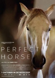 Affiche Perfect Horse