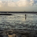 Silence of the Tides Silence of the Tides