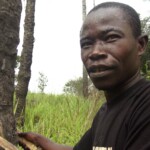 White Cube White Cube