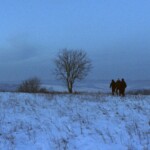 Shadow Game Shadow Game